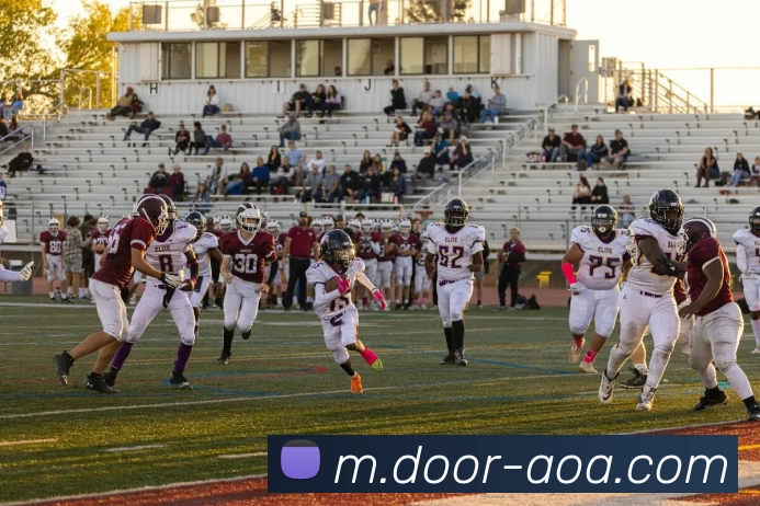 AOA体育APP 封面图